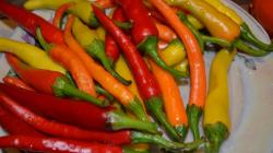 The easiest ways to prepare pickled hot peppers for the winter