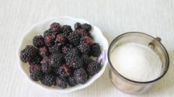 How to cook blackberry compote for the winter - simple and healthy recipes