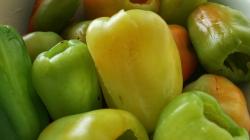 Zöldségekkel töltött ecetes kaliforniai paprika Hogyan kelesztjük a paprikát