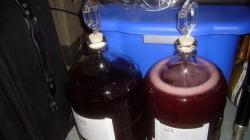 Find out why homemade wine doesn't ferment?