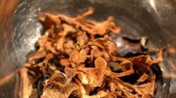 Comment faire cuire des champignons séchés