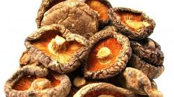 Recipe for dried mushroom and barley soup Dried mushroom soup with barley