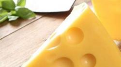 Holandský syr: vlastnosti a zloženie, druhy a recept Holandský plesňový syr