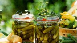 Cold cucumbers for the winter in jars - classic, with mustard, vodka