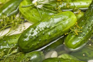 Cornichons dans un grand bol.  Concombres croustillants légèrement salés à cuisson rapide.