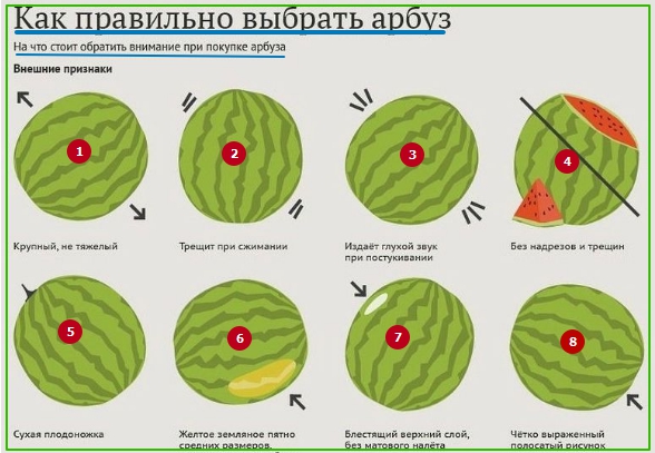 Схема кормления арбуза