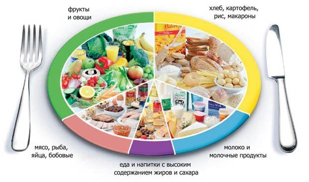 Раздельное питание отзывы и результаты. Основные правила раздельного питания.