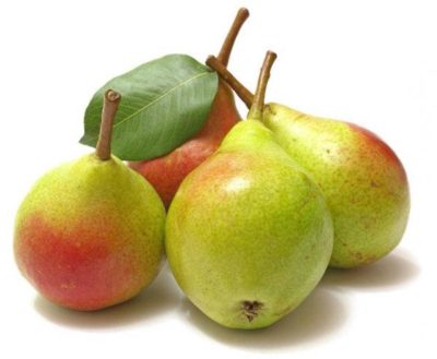 Hruškov jabolčnik: recept za pripravo starodavne pijače doma.  Domači hruškov jabolčnik.