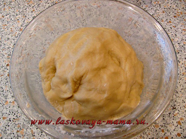 Пошаговый рецепт сдобного теста. Сдобное дрожжевое тесто для пирогов в духовке. При какой температуре выпекать изделия из дрожжевого теста?